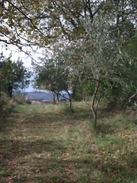 Vila Poggio Del Conero Exteriér fotografie